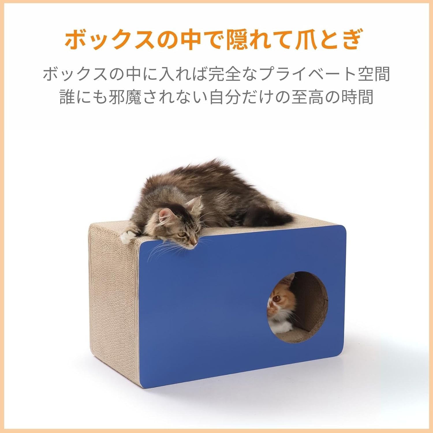 オッドアイの白猫ウィンスタンレイ(ケンジントン)キャット サイズ1 AB